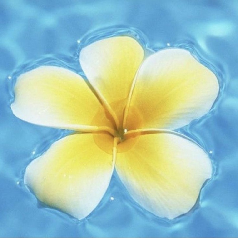 Meet your Posher, Makayla